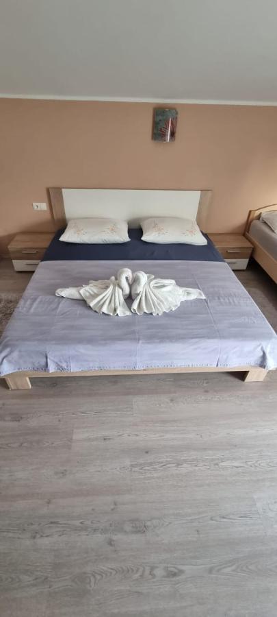 ביוגראד נה מורו Apartmani Italo מראה חיצוני תמונה